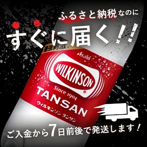強炭酸水 ウィルキンソンタンサン　PET1L×2箱(24本入) アサヒ 炭酸