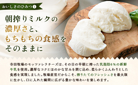 モッツァレラチーズ6個入セット【15000101】