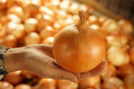 ＼うまい玉ねぎできたでー／ ケンちゃんファームの特別栽培玉ねぎ5㎏ ～ひょうご安心ブランド認証取得～　◆配送7月～翌年1月