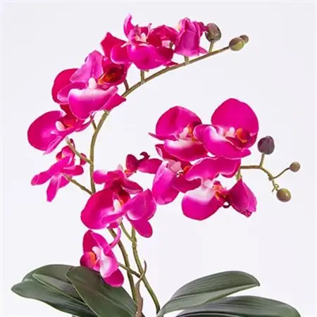 アーティフィシャルフラワー胡蝶蘭アレンジメント光触媒 (ピンク)_花・観葉植物 造花・プリザーブドフラワー 花 _【1033170】