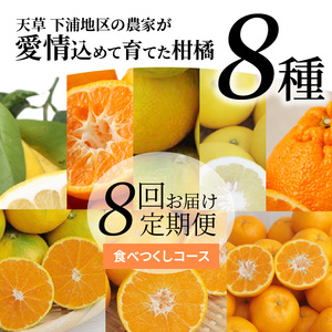 S040-019A_【定期便8回】天草 下浦地区の農家が愛情込めて育てた柑橘8種食べ尽しコース〈先行予約〉/ ポンカン みかん 晩柑 柑橘 不知火 ミカン