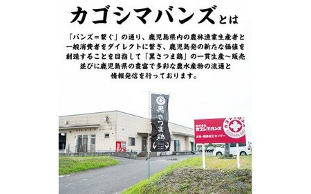 A-137 黒さつま鶏しゃぶしゃぶセット(2～3人前)【カゴシマバンズ】霧島市 鶏肉 鳥肉 お鍋