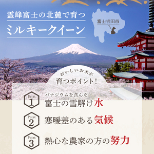 お米 【令和7年産】富士吉田の美味しいお米 ミルキークイーン 5kg 白米 ごはん