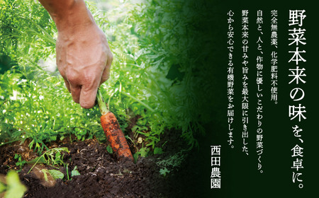 有機野菜 定期便 3ヶ月 有機野菜