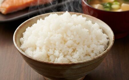 【先行予約】 令和8年産 特別栽培米 コシヒカリ 5kg 蛍米 精米 特別栽培米【JA小松市】