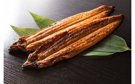 V6201_炭焼きうなぎ蒲焼　特大サイズ2尾セット（約200g前後×2尾）タレ・粉山椒付き　国産鰻　冷凍ウナギ　1尾ずつ真空パック　土用の丑の日　紀伊国屋文左衛門本舗
