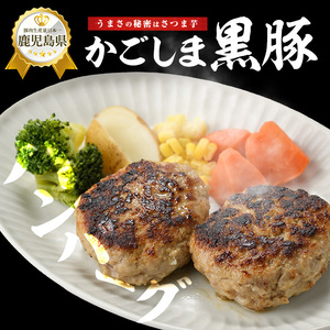 特製 黒豚 ハンバーグ 120g×10個 生 ハンバーグ 岡村商店 IB024-023 ハンバーグ