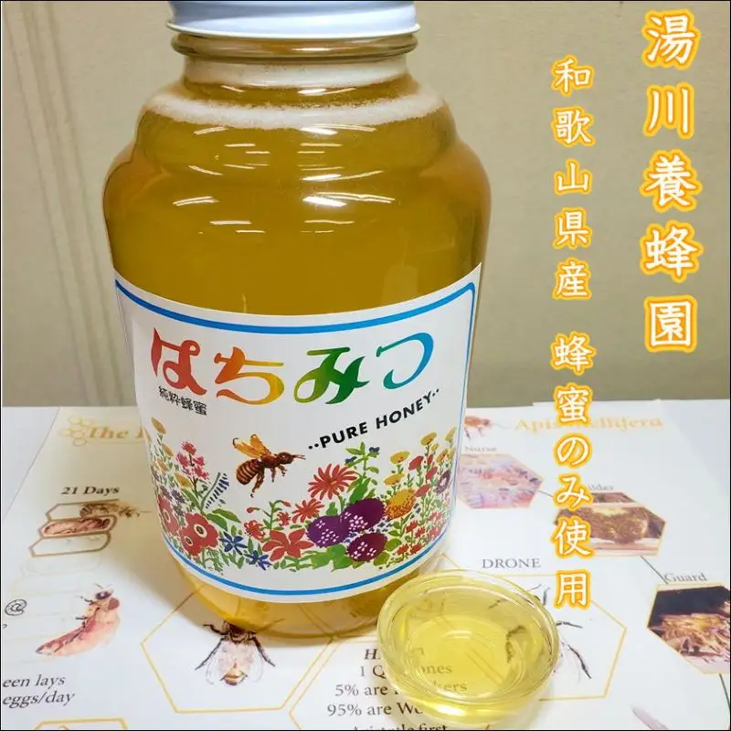 【0592-4】自然派 はちみつ梅干し（うす塩味）600g