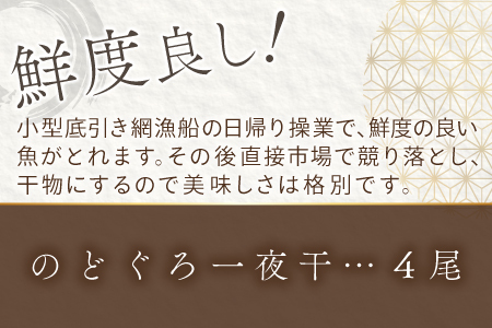 ノドグロ一夜干４尾セット【のどぐろ一夜干し のどぐろ 干物 4尾 1尾あたり120～140g 島根県産 大田市産 魚介類 魚 ノドグロ のど黒 高級魚 干物 真空パック 冷凍】