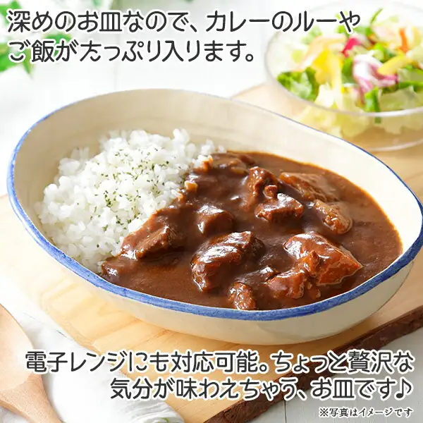 444.職人 手作り カレー 皿 さら お皿 工芸品 民芸品 陶芸 川湯温泉 北海道 弟子屈町