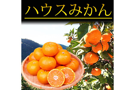 紀州和歌山有田産ハウスみかん 2.5kg 化粧箱入 ふるさと納税 ミカン ｜みかん ミカン 蜜柑 フルーツ みかん ふるーつ みかん 果物 みかん くだもの みかん 和歌山 みかん※2026年7月上旬〜7月下旬頃に順次発送予定