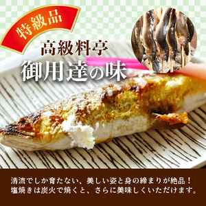 四万十川上流の天然鮎 冷凍 火振り漁鮎 2kg（6～22尾）【着日指定不可】 あゆ アユ 魚 魚介 川魚 塩焼き 冷凍 個包装 小分け たっぷり ／Esj-14k