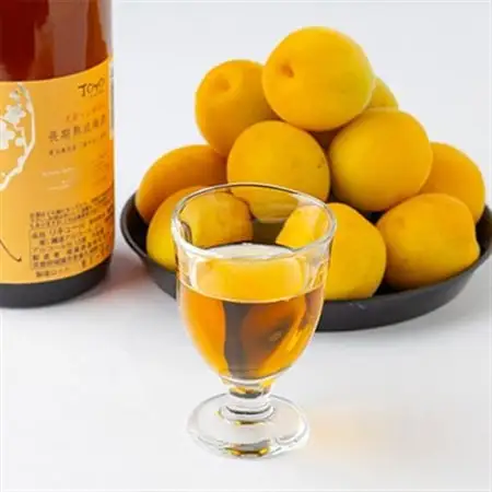 長期熟成梅酒　城州　720ml_酒・アルコール 梅酒  _【1091703】