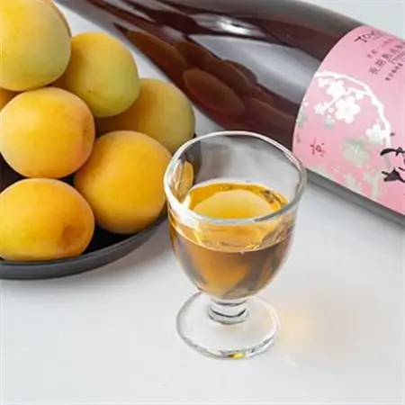 長期熟成梅酒 城州　premium　720ml_酒・アルコール 梅酒  _【1091704】