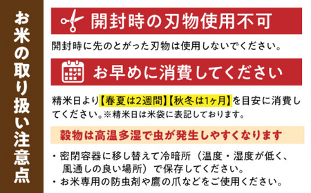 佐賀県産米 さがびより玄米 3kg 米 お米 玄米 ブランド米 国産米[FCW002]