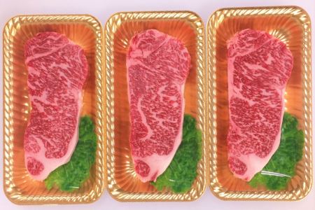ttn173土佐あかうしサーロインステーキ(約190g×3枚)