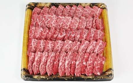 おおいた豊後牛 ロース 焼肉用 700g 【神田楽市】 国産 九州 大分県 黒毛 和牛 ブランド 牛肉 日本一 受賞 バーベキュー BBQ キャンプ おすすめ ランキング ＜105-010＞