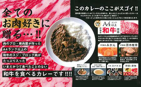 杵築産おおいた和牛カレー３食セット（レトルトカレー） ビーフカレー 黒毛和牛 国産 A4 ビーフ カレー 九州 夏カレー ＜120-001＞