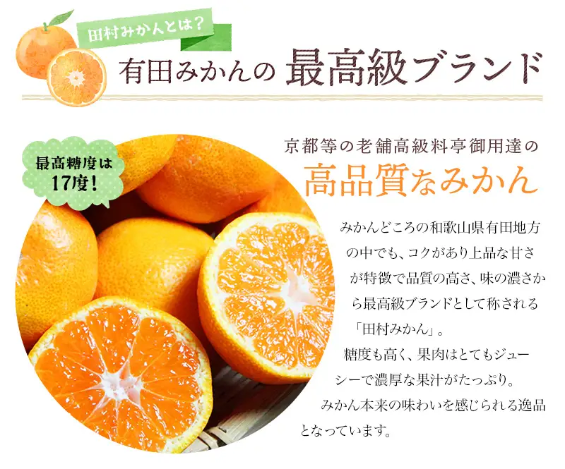 みかん 高級ブランド 田村みかん 5kg【uot504A】
