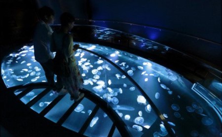 チケット 東京 すみだ水族館 年間パスポート引換券 大人1名 子供2名 入場券 優待券 年パス 旅行 SKYTREE 