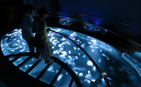 水族館 東京 すみだ水族館 年間パスポート 大人2名 子供1名 チケット 引換券 利用券 入場券 券 スカイツリー 体験 体験チケット 優待券 アクティビティ ペンギン 体験ギフト 体験型 ギフト ペア 子供 旅行 東京都 墨田区