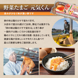 愛され続けて30年 「野菜たまご 元気くん」（40個） 日々のお料理がワンランクアップ!!