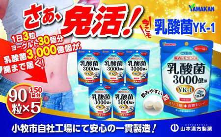 山本漢方の乳酸菌粒(30日分×5袋)[027Y07]