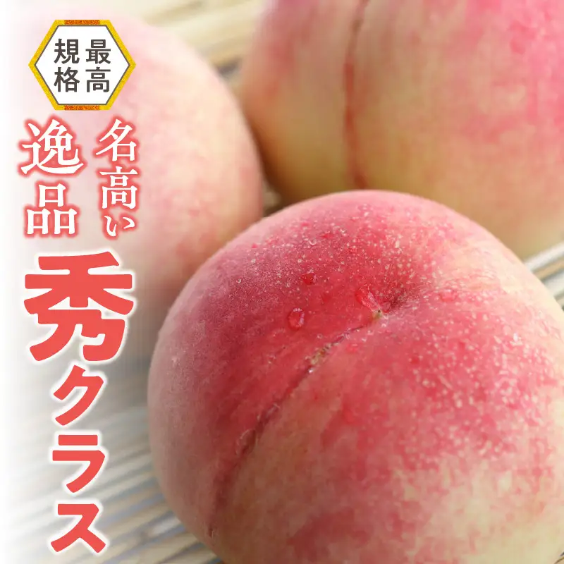 【数量限定】 しのおかの大きな桃(白鳳・秀クラス）[017O01]　白桃 大きな白桃 しのおかの白桃 秀白桃 お取り寄せ白桃
