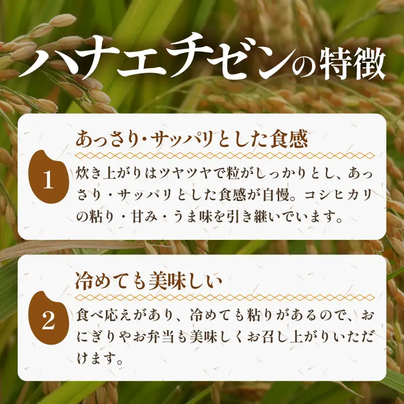 【先行予約】【令和8年産・新米】《定期便》特別栽培米 ハナエチゼン 低農薬 5kg×6回 30kg 《食味値85点以上！こだわり極上米》 / 福井県 あわら 北陸 米 お米 人気 ※2026年9月中旬以降順次発送 [aw032-i004]
