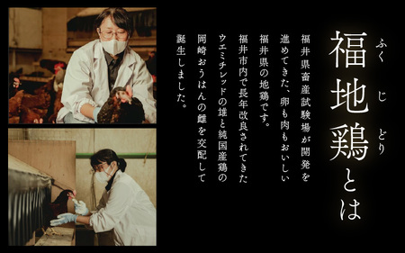 濃厚で甘くておいしい！ 福井ブランド「福地鶏」の卵 30個 ／ 卵 たまご 鶏卵 生卵 有精卵 高級 高級卵 福地鶏 鶏 平飼い 美味しい こだわり 卵かけご飯 料理 あわら市 福井県産 [aw036-a001]