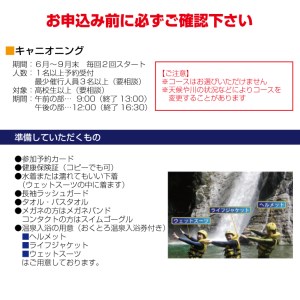 キャニオニング利用券　大人1名様（アイスマン）【nka103A】