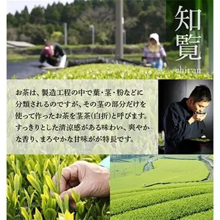 鹿児島県産茎茶「かりがね」1kg【1185919】