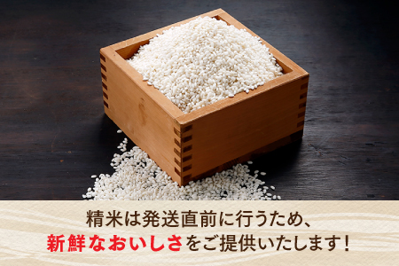 BH005.立花山で育てた九州のブランド米・味くらべ＆プラスワンセット（数量限定商品）