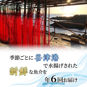 【アワビについて注意事項あり】海鮮セット 定期便 年6回 水産 伊勢海老 海藻 おかず