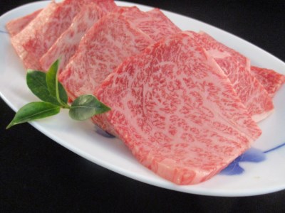 A5 A4 佐賀牛 肩ロース 焼肉用 500g 117-J2107