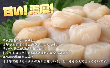 【北海道産】お刺身用ホタテ貝柱600g(300g×2) ほたて 帆立 生食用 小分け 玉冷 貝柱 刺身 生食