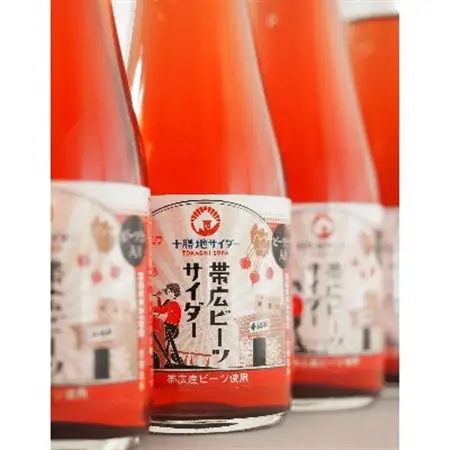 帯広ビーツサイダー　12本セット_飲料・ドリンク 炭酸飲料 ジュース _【1205193】