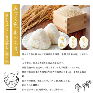 令和7年産　常陸農協の大子町産コシヒカリ10kg｜茨城県 大子町 お米 白米 精米 こしひかり ふっくら もっちり コンテスト受賞（AH003-2）