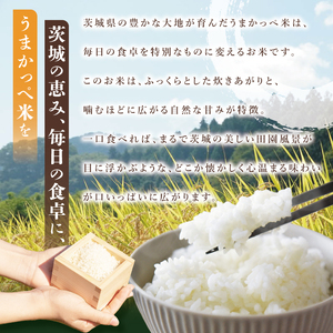 令和7年産奥久慈の恵みうまかっぺ米（コシヒカリ）5kg+2kg 計7kg｜茨城県 大子町 お米 白米 精米 ブランド米 銘柄米 食味値 ふっくら もちもち（AH004-2）