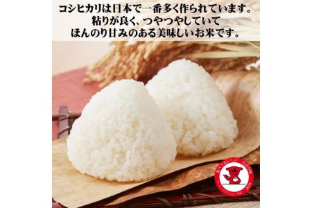 千葉県産 こしひかり 10kg こしひかり