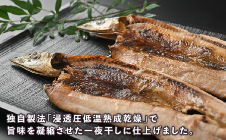 【 干物 】 詰め合わせ 23枚 | 干物