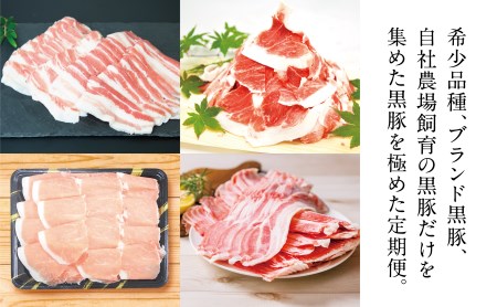 【定期便】畜産王国鹿児島の黒豚満喫コース 至高のだし付き（全5回） お肉 定期便 国産 鹿児島県産 豚肉 黒豚 しゃぶしゃぶ とんかつ 焼肉 切り落とし セット 毎月 食べ比べ 冷凍 南さつま市