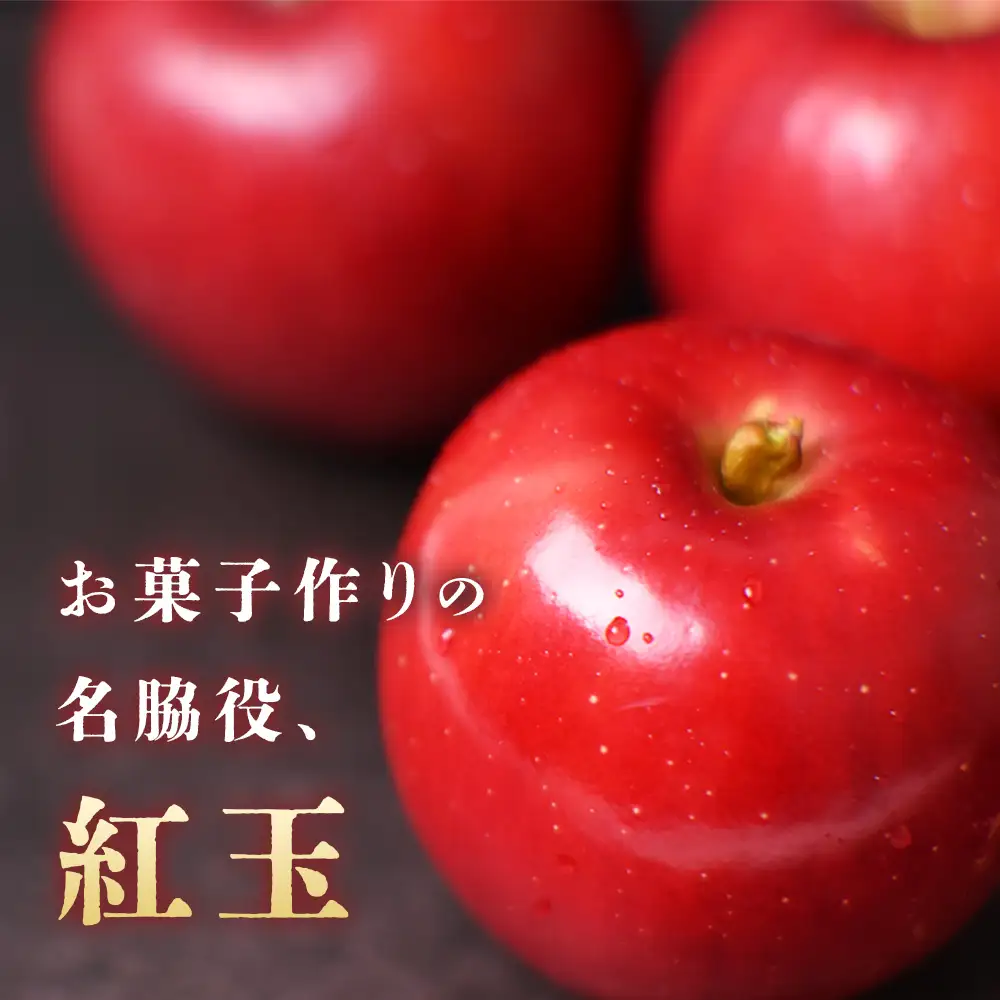青森県産りんご 紅玉 約4.5kg りんご 10月～