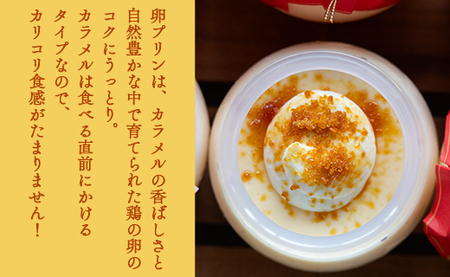 プリン2種 合計12個(卵・ほうじ茶)【プリン プリン プリン プリン プリン プリン】 kn-0043