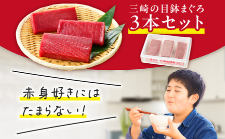 ＜選べる配送月＞本物 の 味をお届け ！ 赤身好きにはたまらない ！ 天然 目鉢まぐろ 赤身 3柵 M005-010 冷凍 マグロ