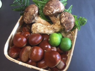 極上 丹波松茸 丹波栗 詰め合わせ＜京都・八光館＞松茸 松茸