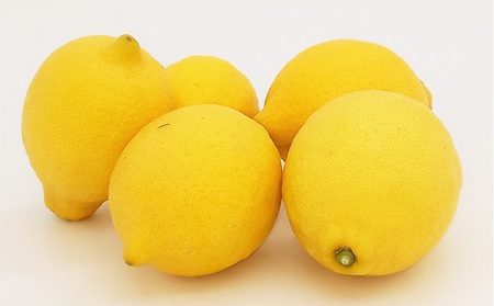 2026年お届け イエローレモン（露地栽培）約2.5kg 果物類 柑橘類 柑橘 檸檬 