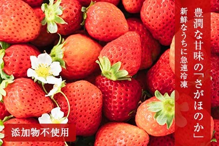 グランプリ受賞 数量限定 冷凍いちご シロップ付 計1kg+170g 【クラッシュタイプ】 果物 くだもの フルーツ 苺 国産 自家製 スムージー イチゴジャム おやつ デザート 詰め合わせ 小分け 産地直送 おすそ分け 贈り物 ギフト 宮崎県 日南市 送料無料_BAV2-24