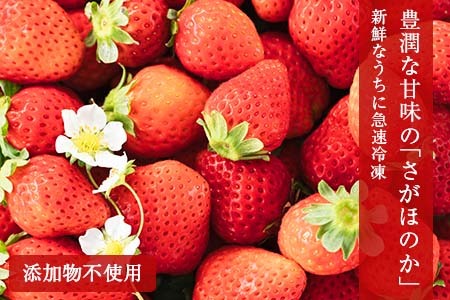 グランプリ受賞 数量限定 冷凍いちご シロップ付 計1kg+170g 【まるまるタイプ】 果物 くだもの フルーツ 苺 国産 自家製 スムージー イチゴジャム おやつ デザート 詰め合わせ 小分け 産地直送 おすそ分け 贈り物 ギフト 宮崎県 日南市 送料無料_BAV3-24