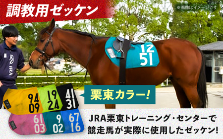 【JRA/日本中央競馬会】数量限定！調教用ゼッケンと騎手サイン色紙 （栗東カラー）　栗東市 / 栗東市役所 [BIAM003]